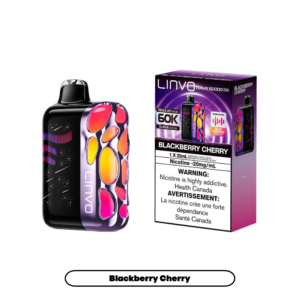 Linvo Rave 60000 Puffs - Blackberry Cherry Rechargeable Disposable Vape 20Mg