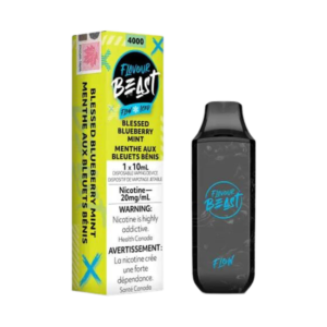 Flavour Beast Flow Iced 4000 Puffs Blessed Blueberry Mint Rechargeable Disposable Vape 20Mg