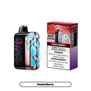 Linvo Rave 60000 Puffs - Peach Berry Rechargeable Disposable Vape 20Mg